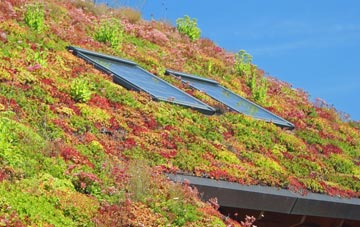 Oadby living roof systems